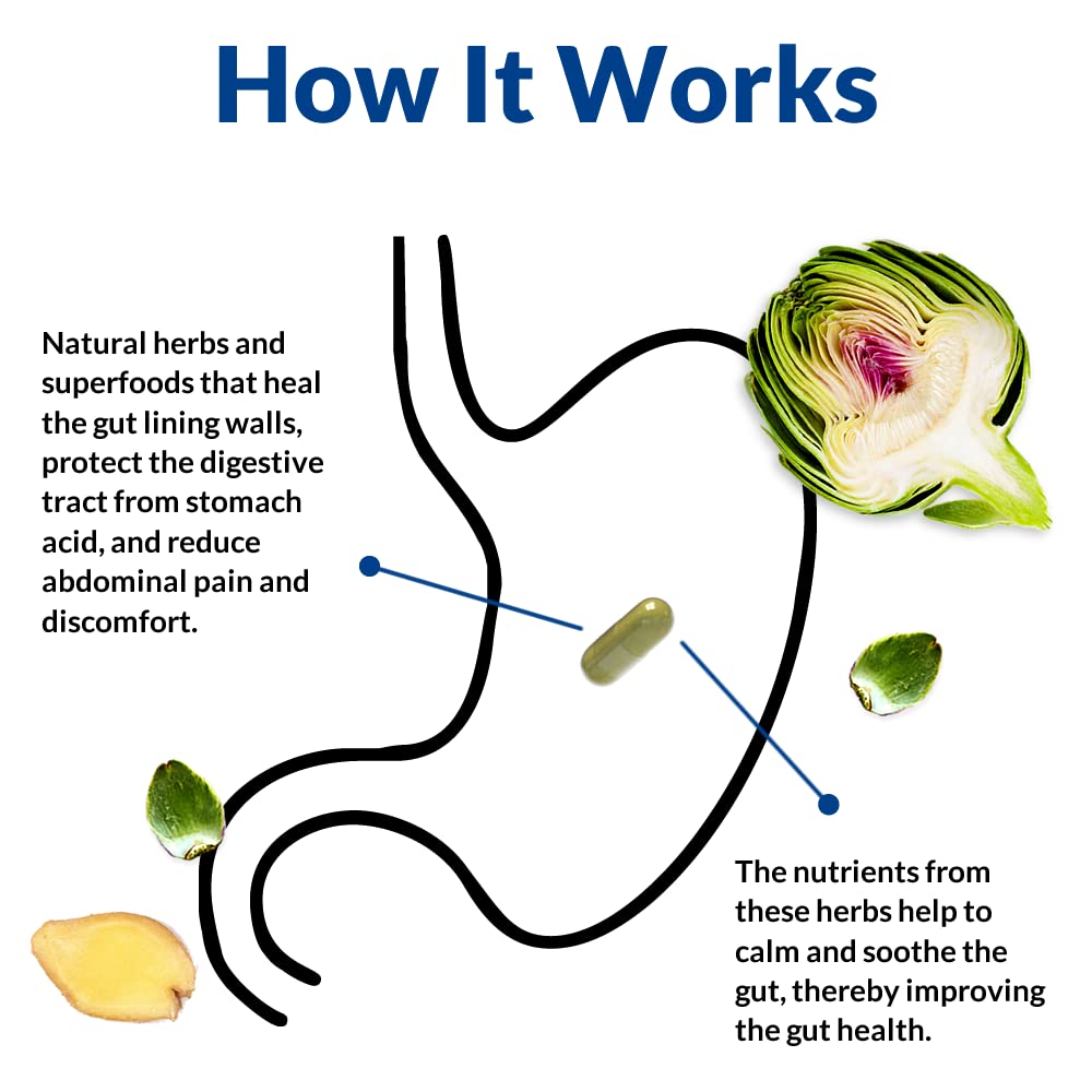 Gut Alive - All Natural Support to Fight IBS, Heartburn, Acid Indigestion, Acid Reflux, Bloating & Gas. Unique Formulation (60 Count )