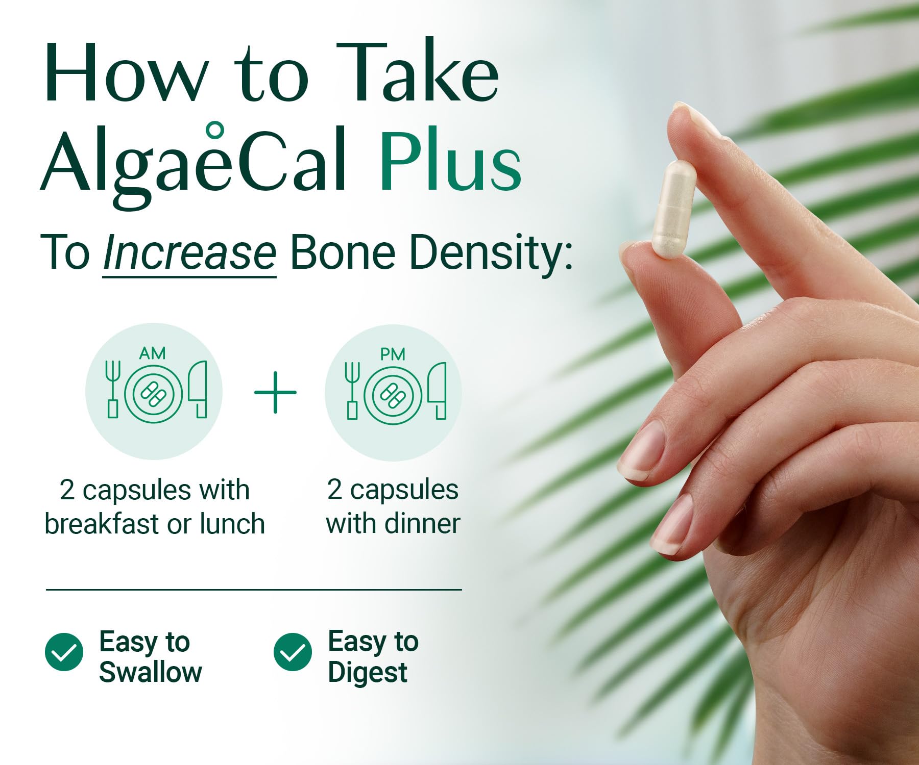 ALGAECAL Organic Red Algae Calcium Supplement for Bone Density, Vitamin K2 MK7 (100mg), Vitamin D3 (1600 IU), Magnesium (350mg) & Trace Minerals & Strength, Easy to Swallow, 120 Veggie Caps