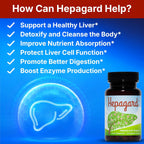 Hepagard - Natural Liver Support Supplement - 30 capsules