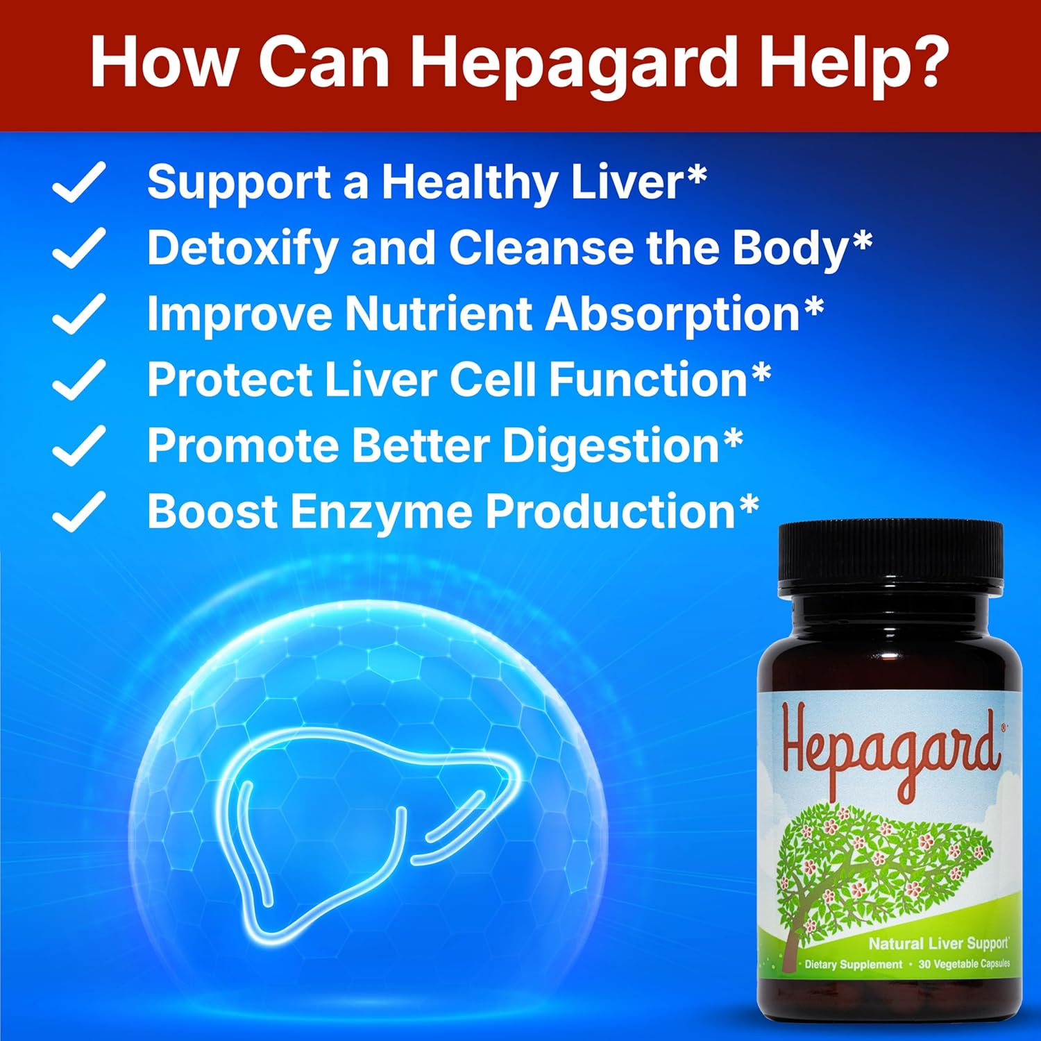Hepagard - Natural Liver Support Supplement - 30 capsules