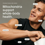 Timeline Urolithin A Supplement – 60 Softgels