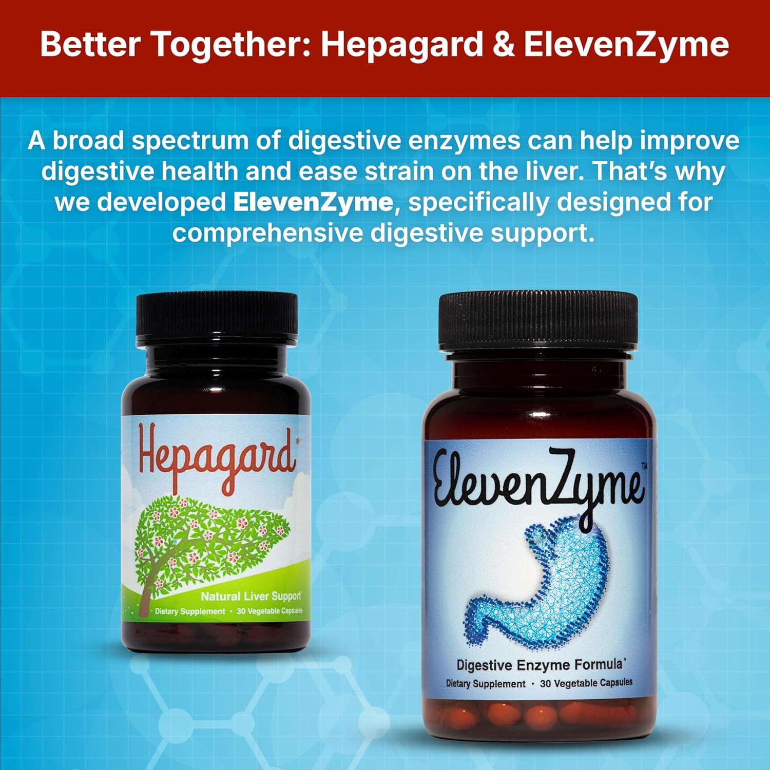 Hepagard - Natural Liver Support Supplement - 30 capsules