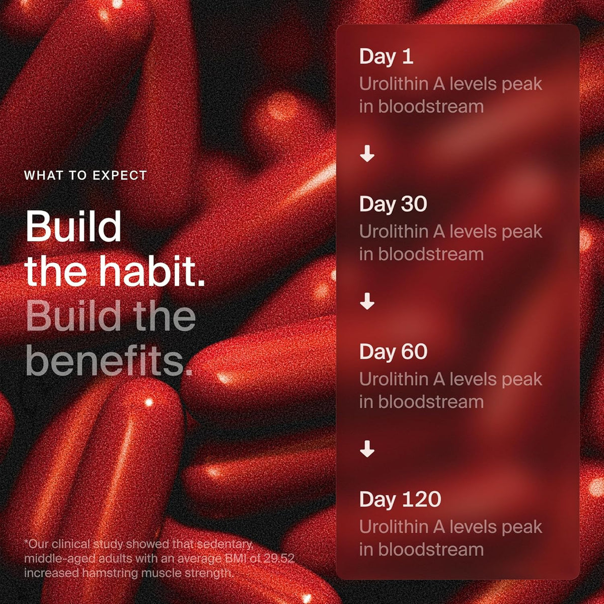 Timeline Urolithin A Supplement – 60 Softgels